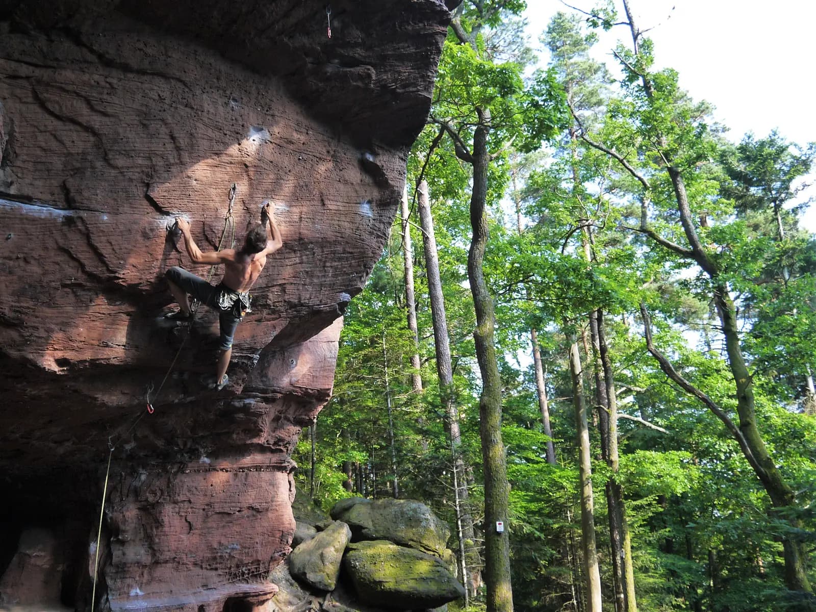 Grimpeur dans un dévers de grès rose des Vosges du Nord